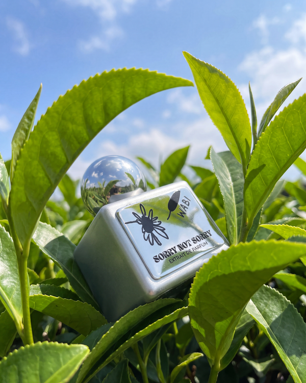Wabi - 50ml